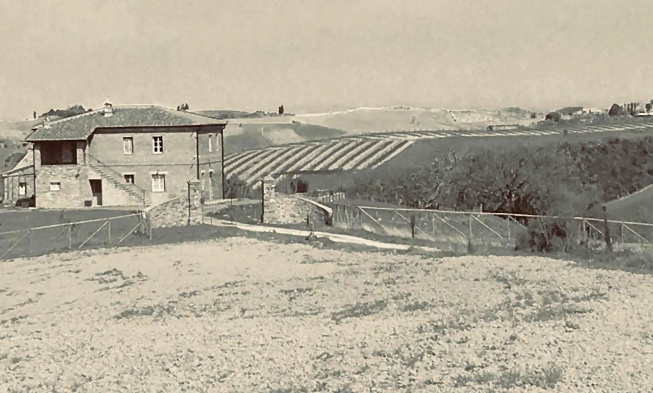 Cordella In Montalcino Wine Resort