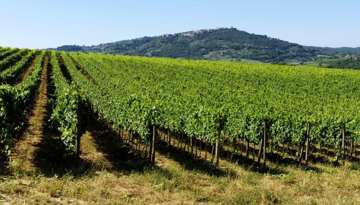 Cordella In Montalcino Wine Resort Italy